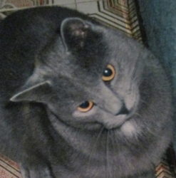 Avatar du membre