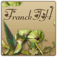 Avatar du membre