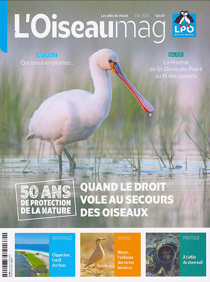 Mag LPO été 2026.png