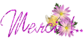 Merci .png