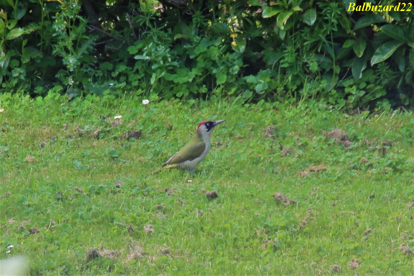 IMG_3628.jpg