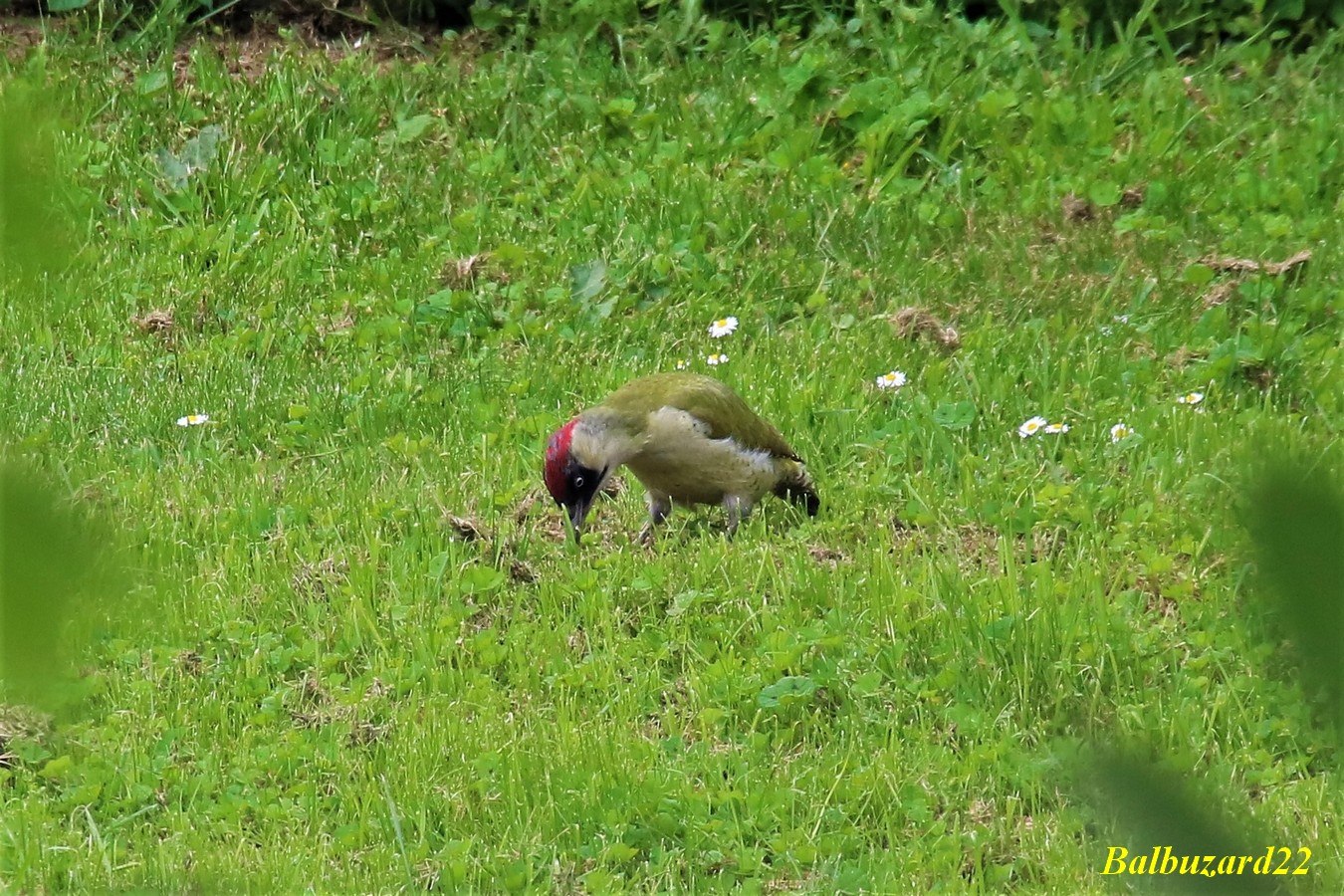 IMG_3636.jpg