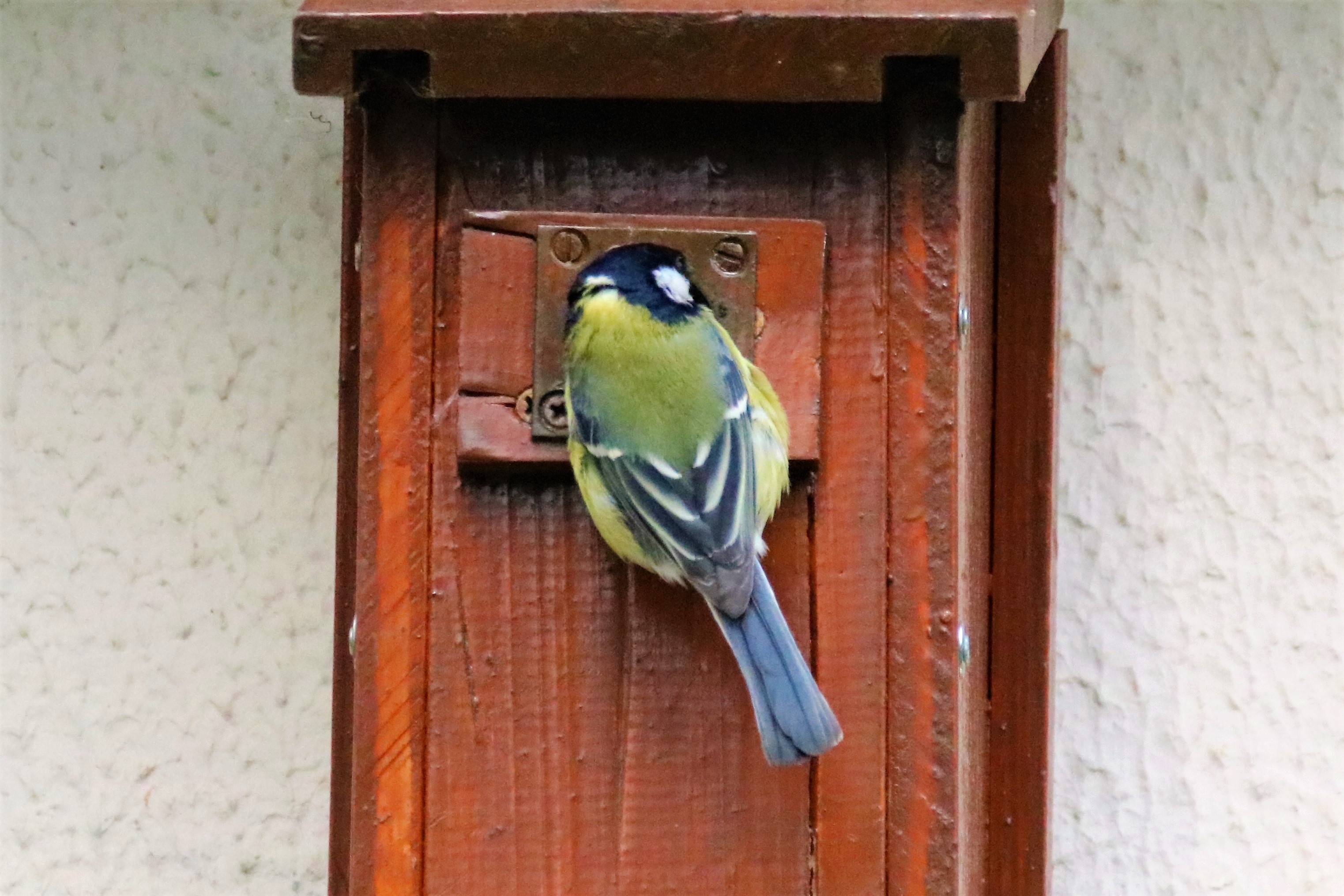 IMG_3828.jpg