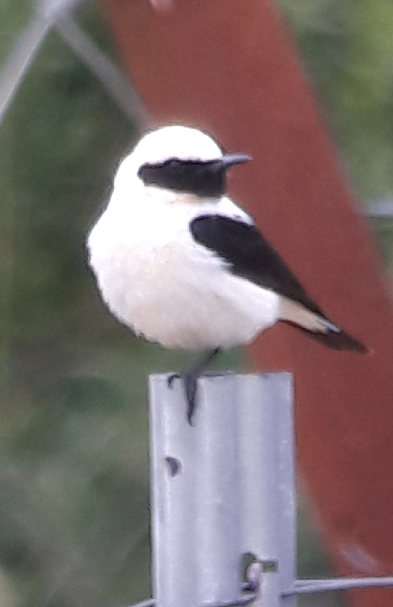 20180612_141424.jpg