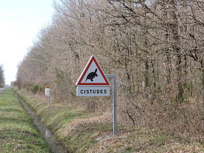 cistude panneau_opt.jpg