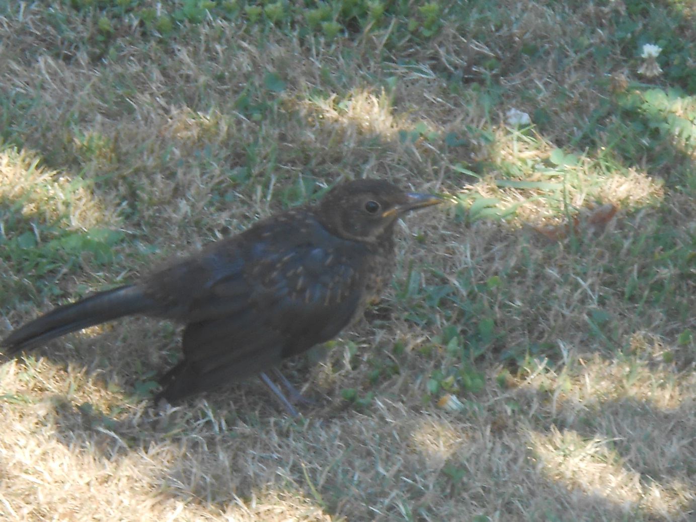 DSCN6191.JPG