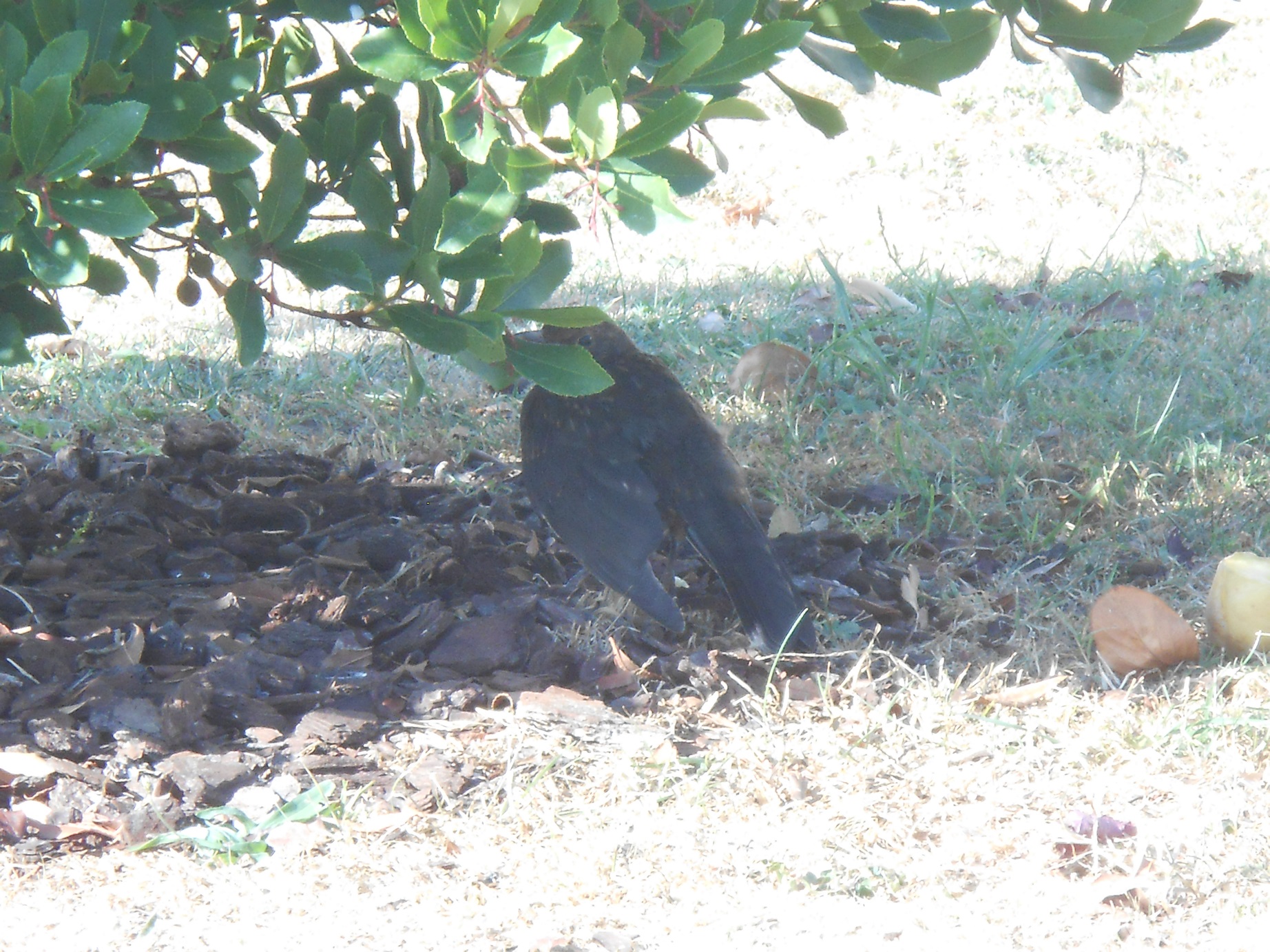 DSCN6200.JPG