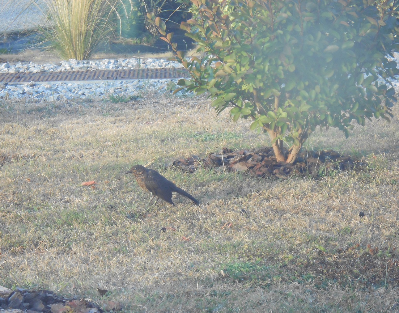 DSCN6202.JPG