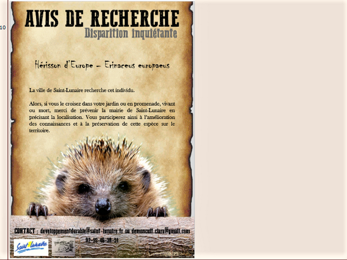 Sans titre.png