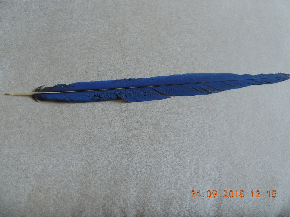 DSCN1277.JPG