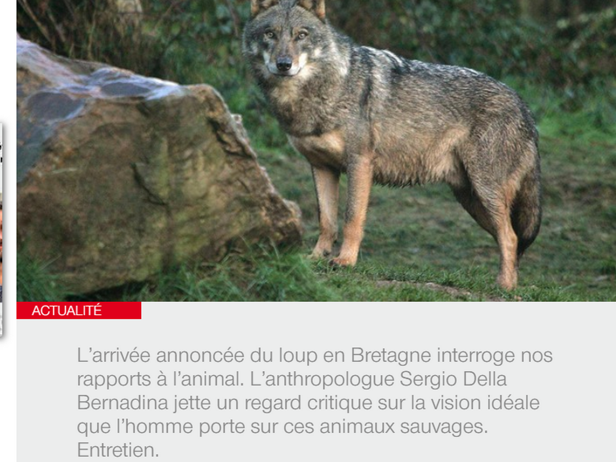 Sans titre.png