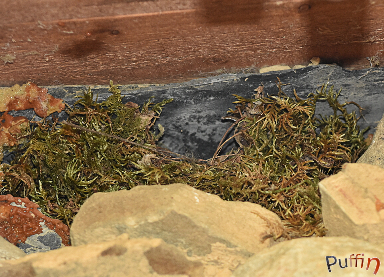 DSC_1894-1.JPG