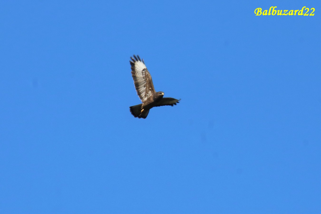 IMG_4471 - Copie.jpg