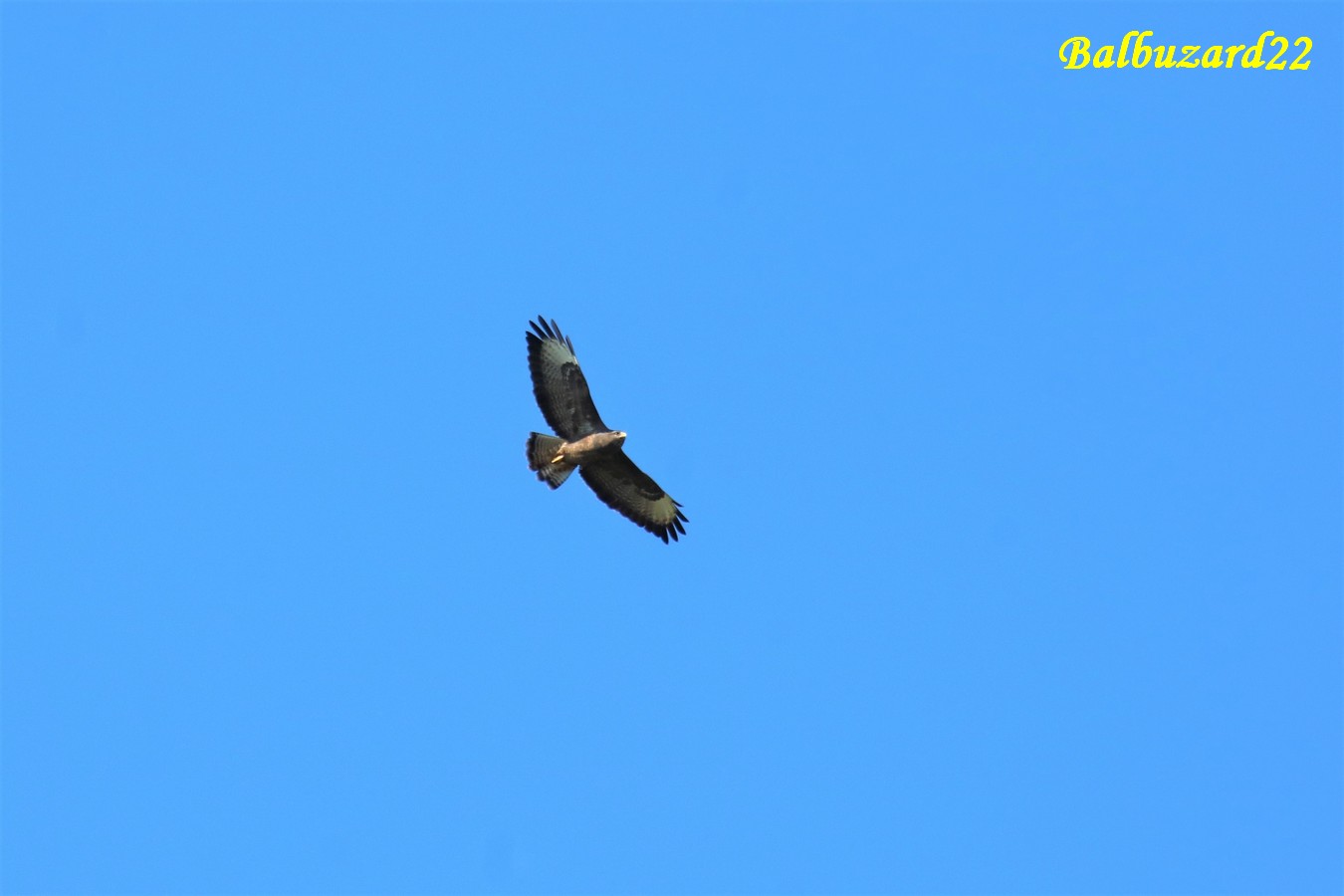 IMG_4475 - Copie.jpg