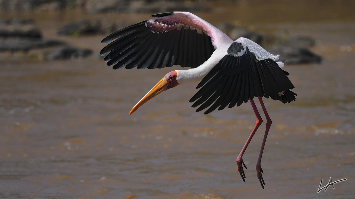DSC_6351 4K.jpg