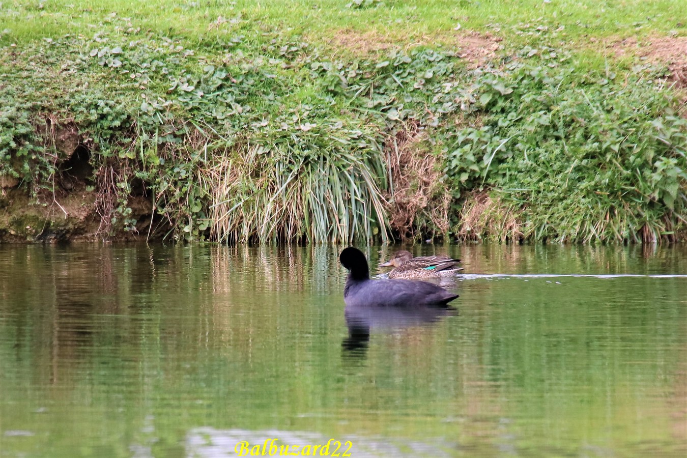 IMG_4580 - Copie.jpg
