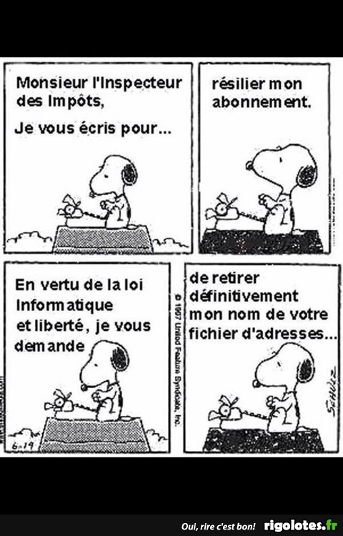 impôt humour.jpg