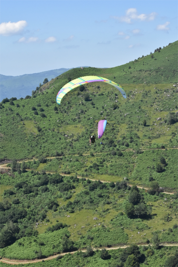 DSC_1533.JPG