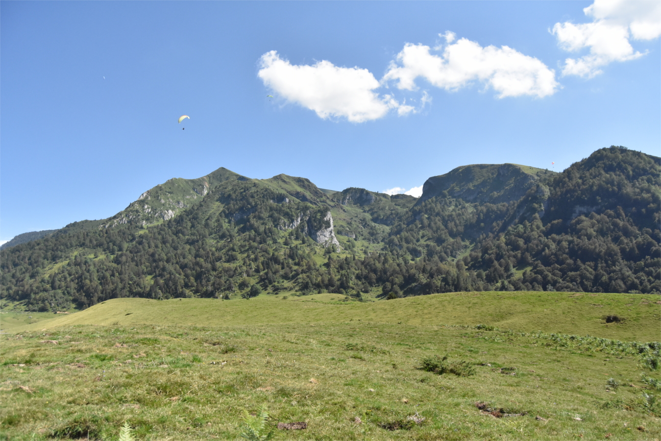 DSC_1569.JPG