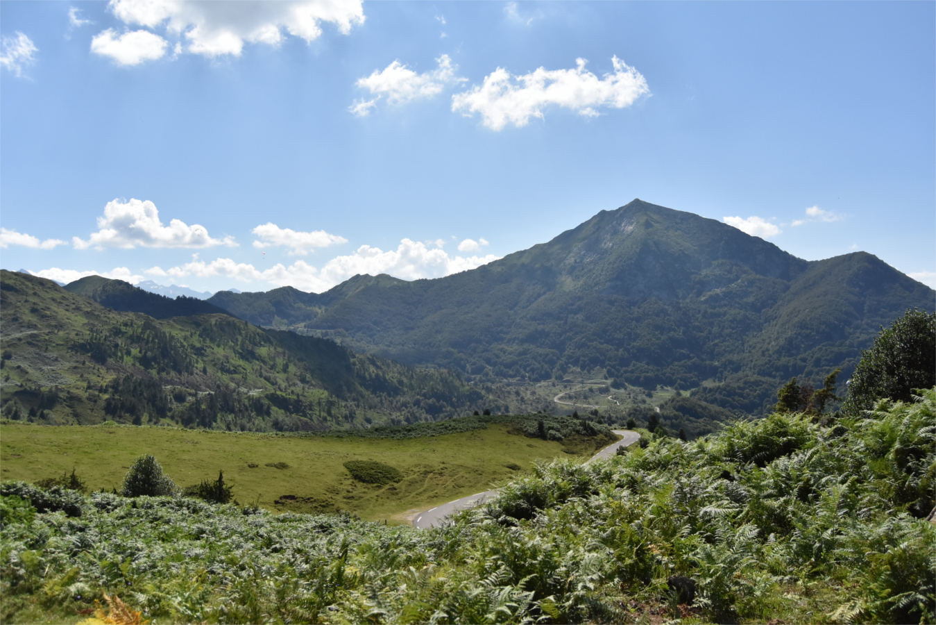 DSC_1571.JPG