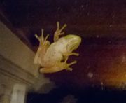 WP_20170602_002_opt.jpg