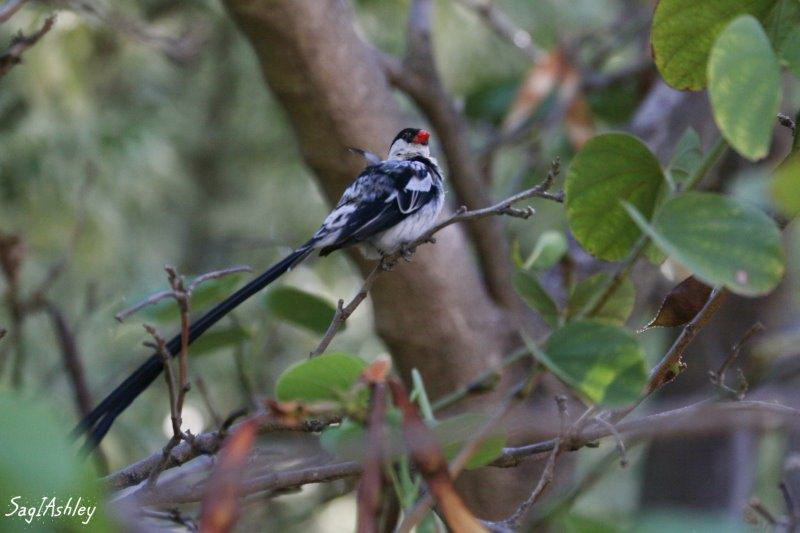 EO9A0252_GF - Copie.jpg