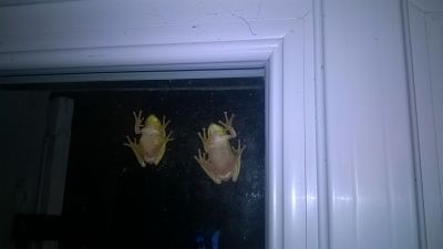 WP_20170605_00_34_45_Pro_opt.jpg