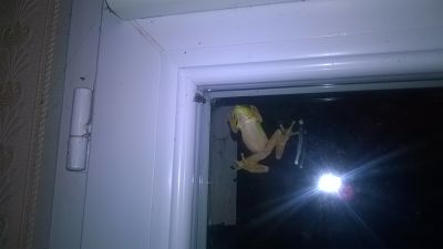 WP_20170605_01_12_40_Pro_opt.jpg