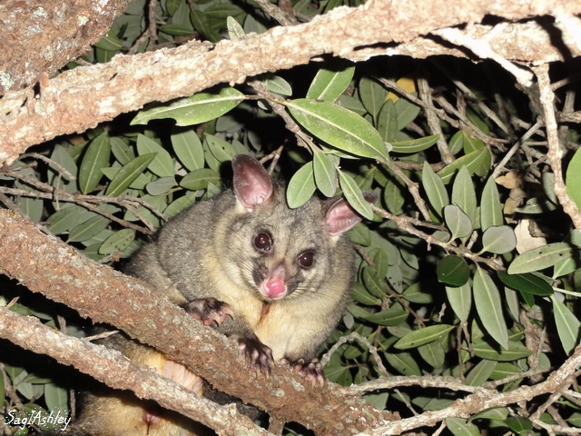 DSC02852_GF.jpg