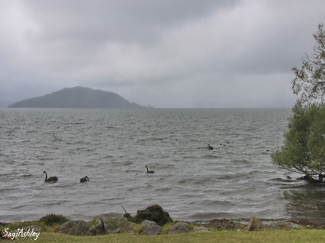 Lake Rotorua (Copier)_GF.jpg