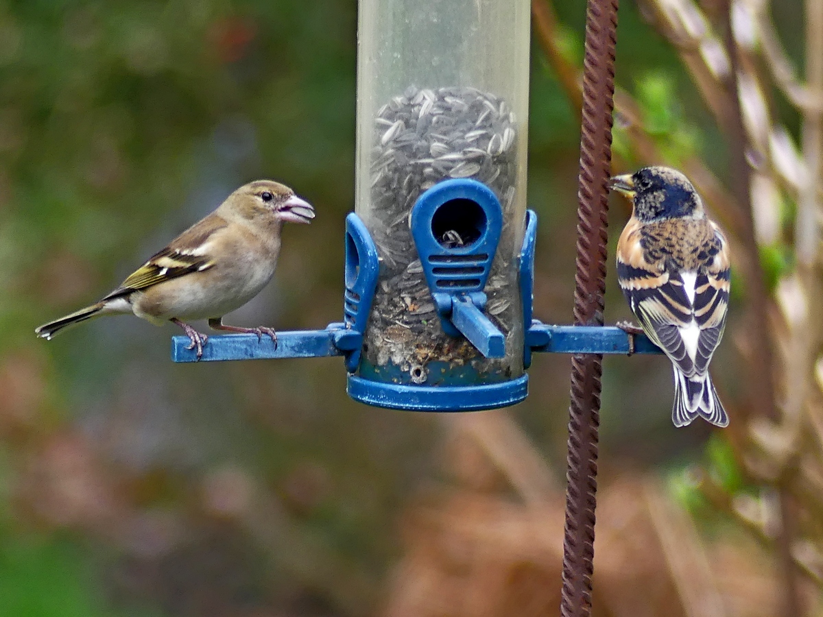 10.03.2019lumix.jpg_12.jpg