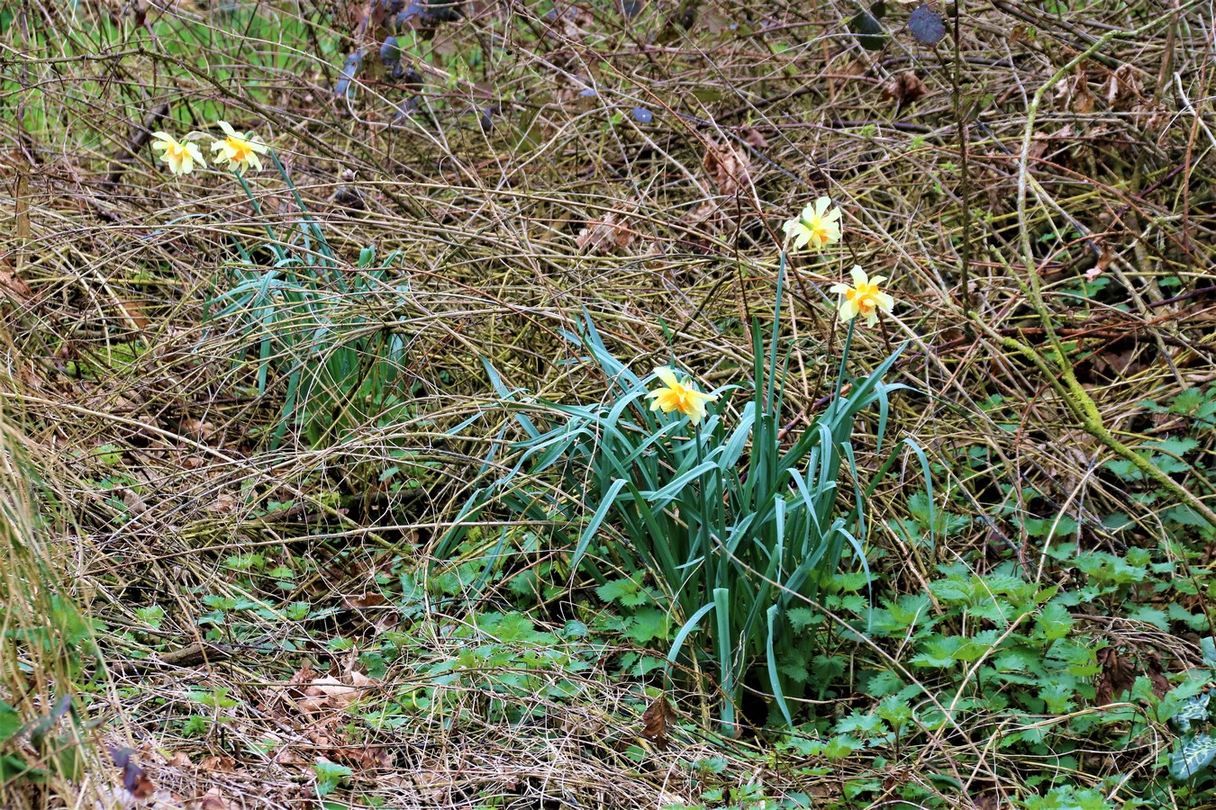 IMG_4717.JPG