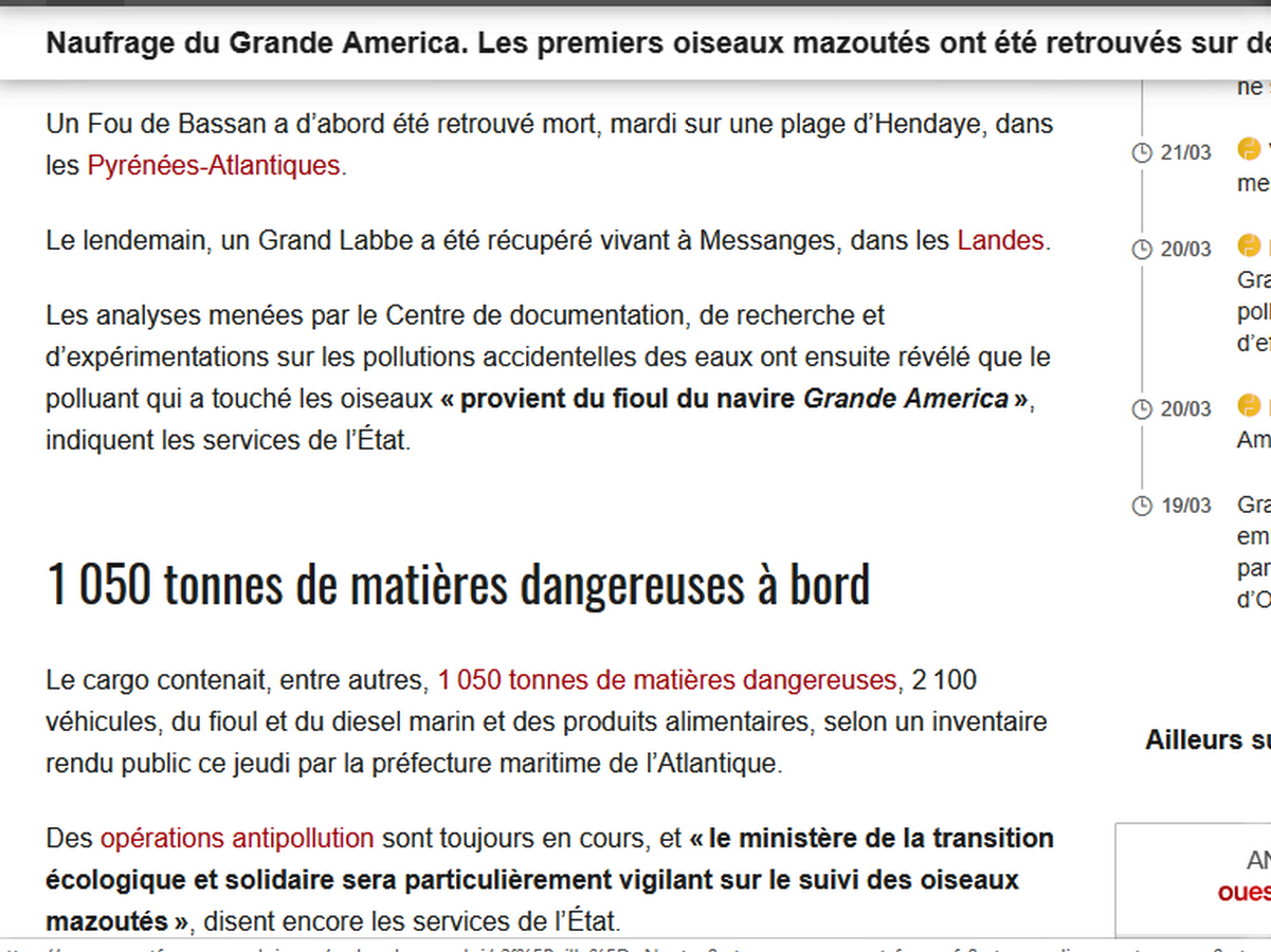 Sans titre.png