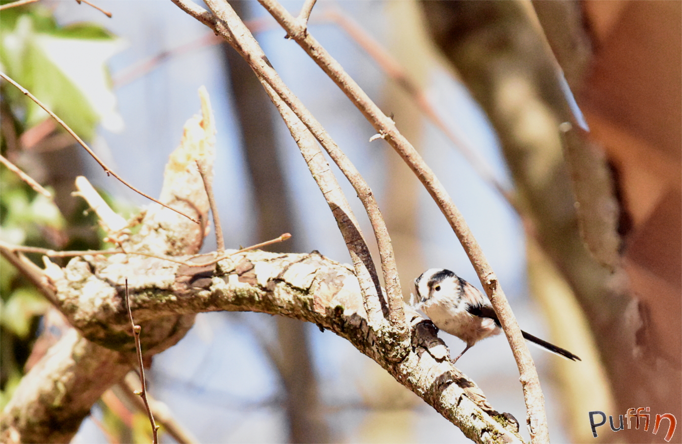 DSC_2020-1.JPG