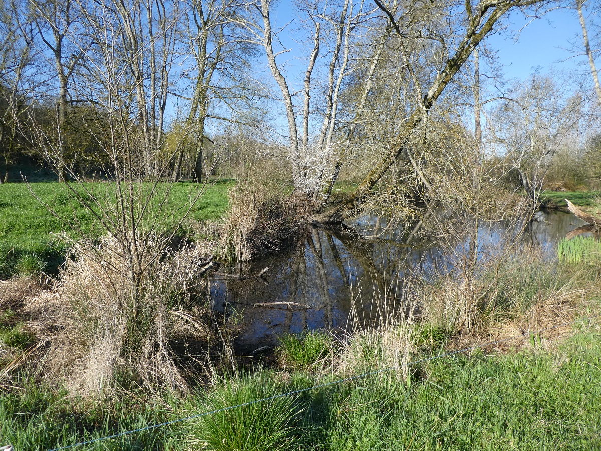 P1270888ro.jpg