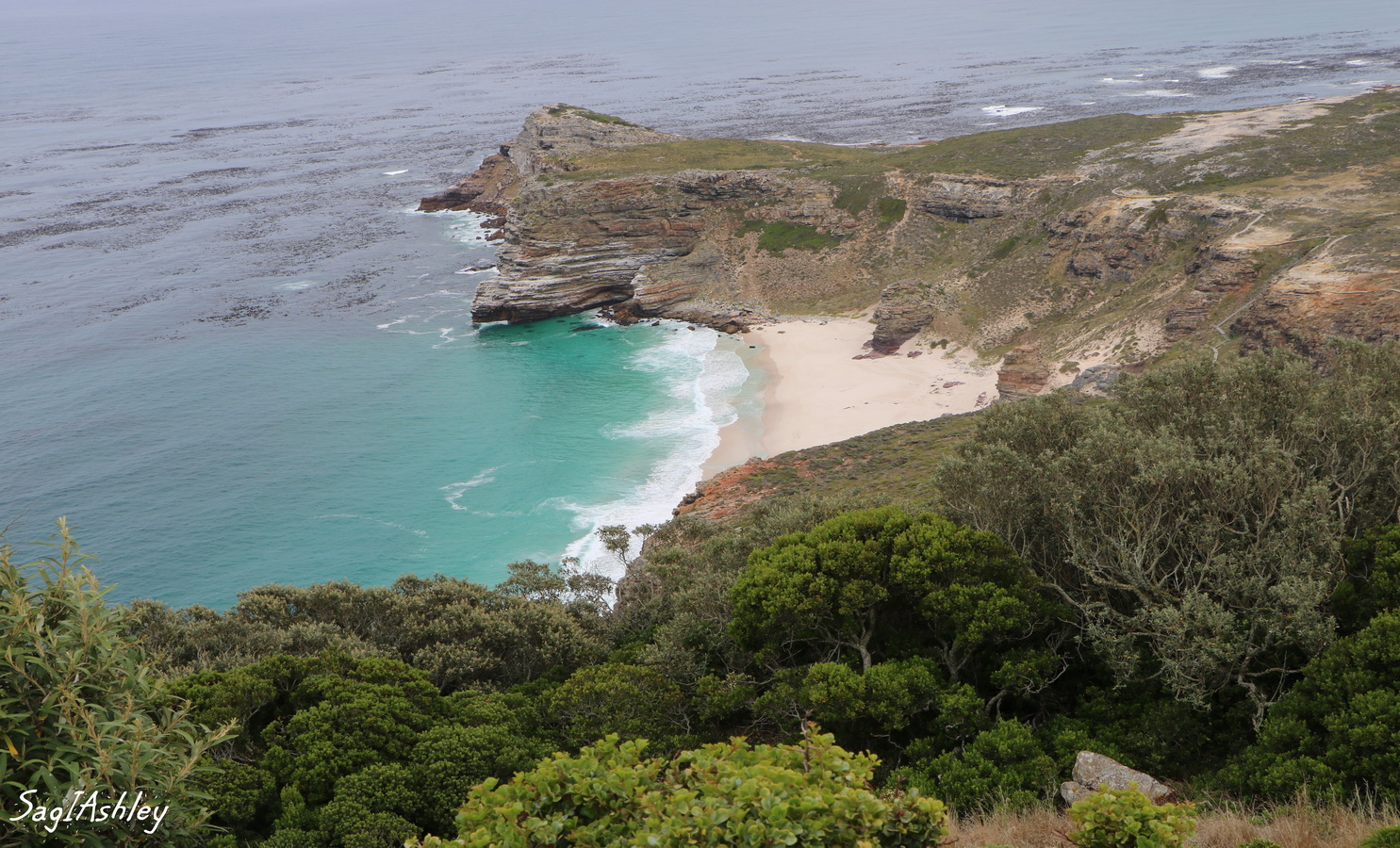 Le Cap de B E vu du Cap Point