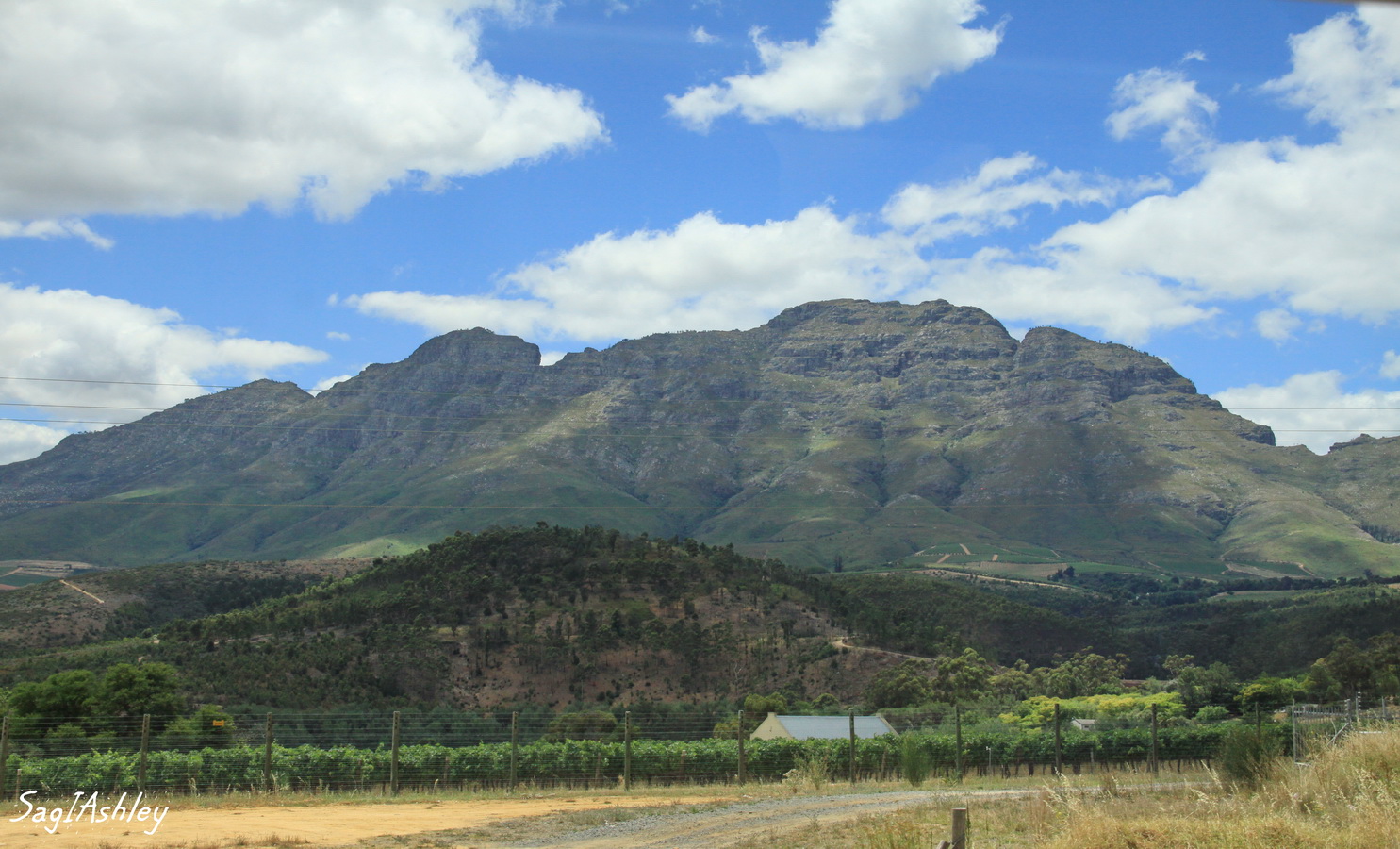 La route des vignobles