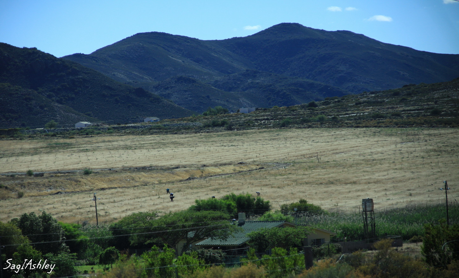 Paysage du Petit Karoo
