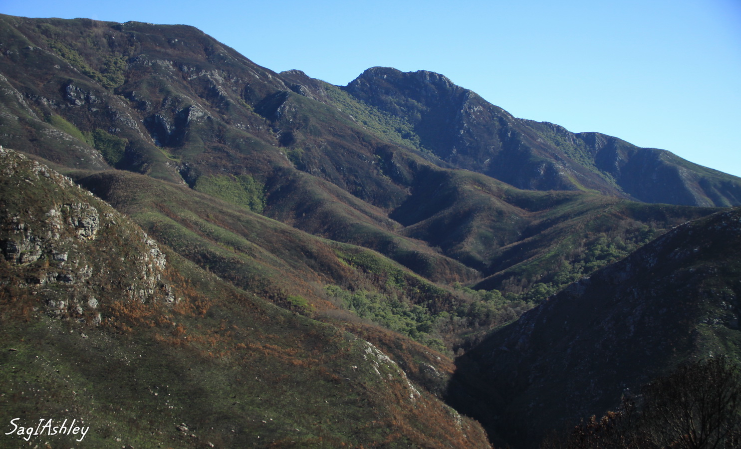 Montagne d' Amathole