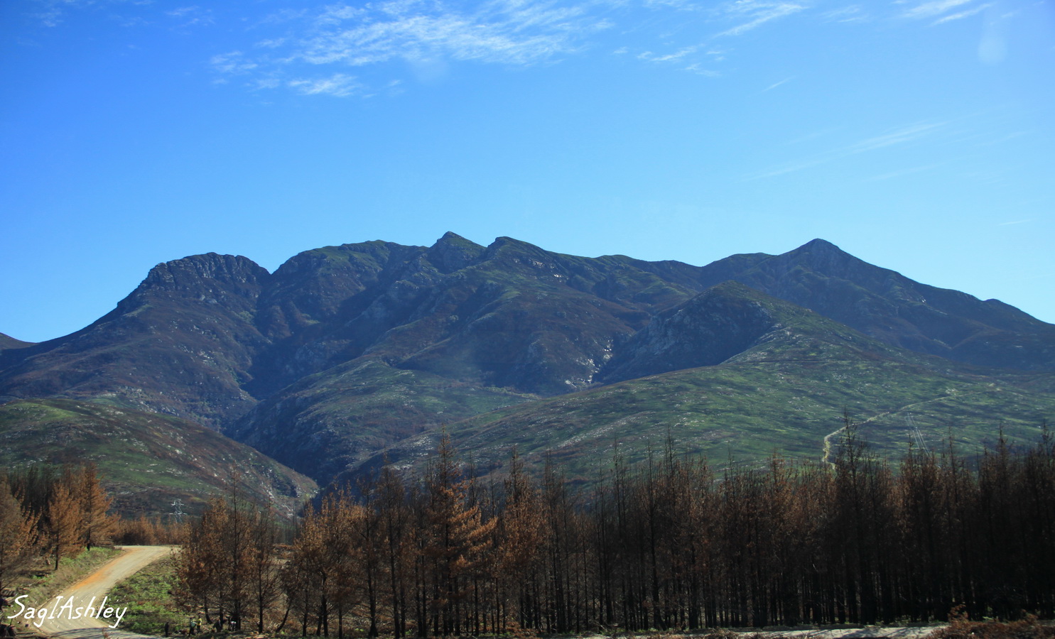 IMG_0664_GF.jpg