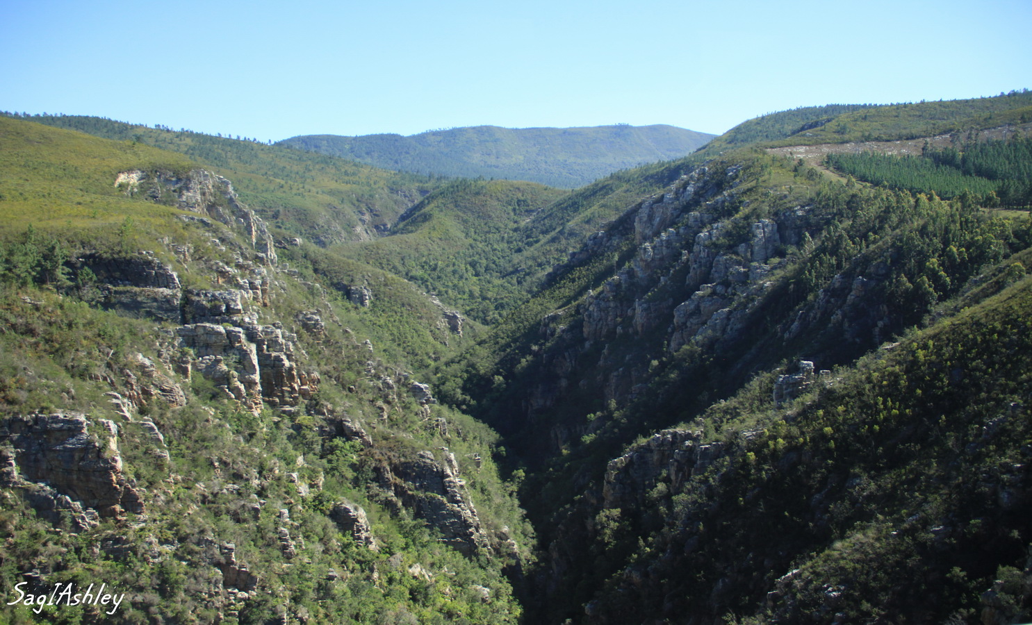 Montagnes de Tsitsikamma