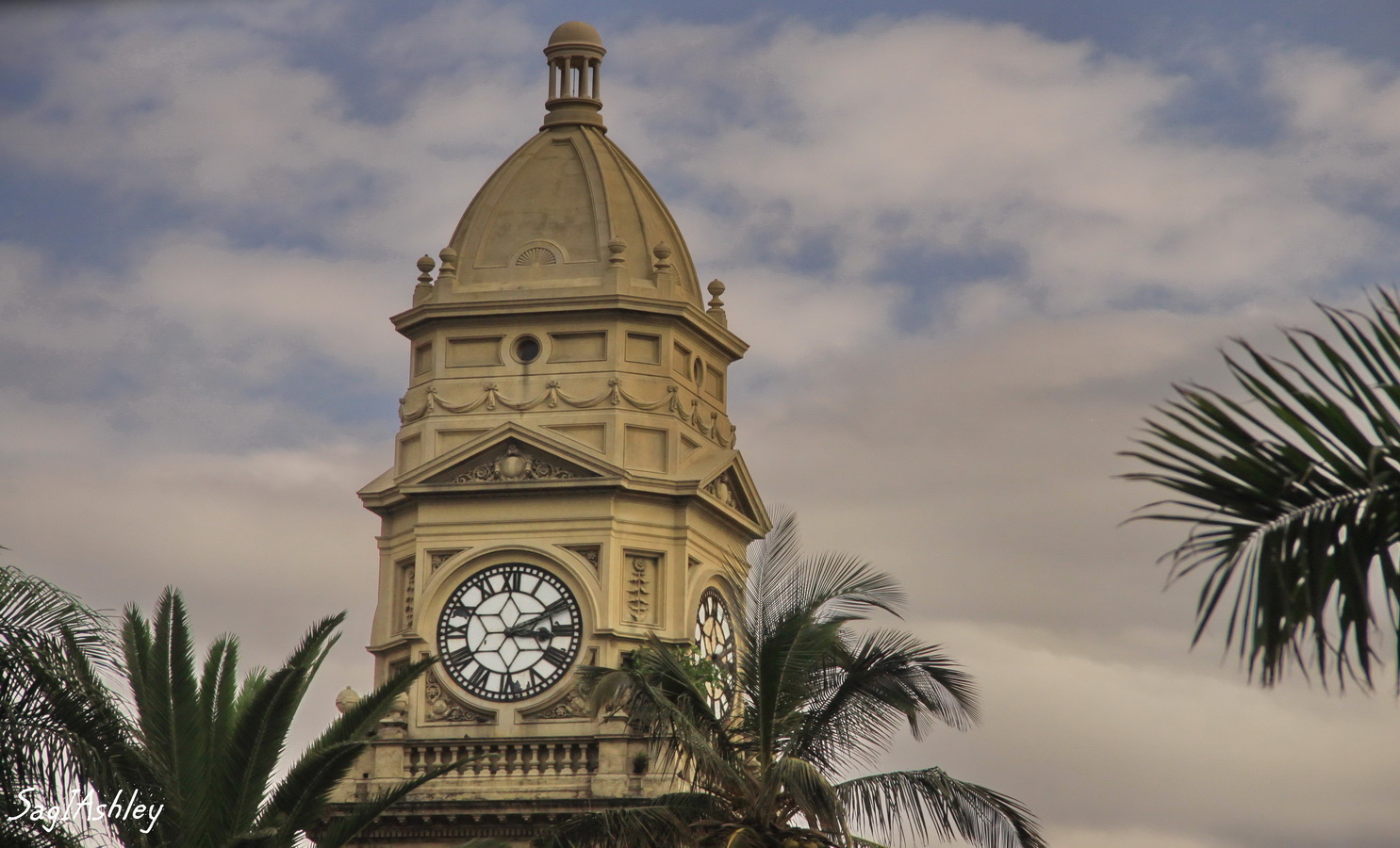 Le toit de la mairie de Durban