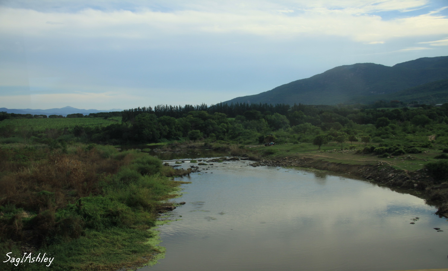 Bras de Crocodile River