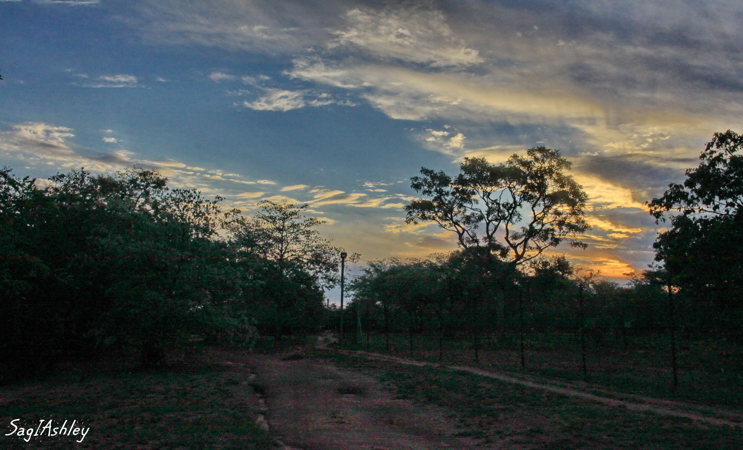 Parc Kruger 19h30