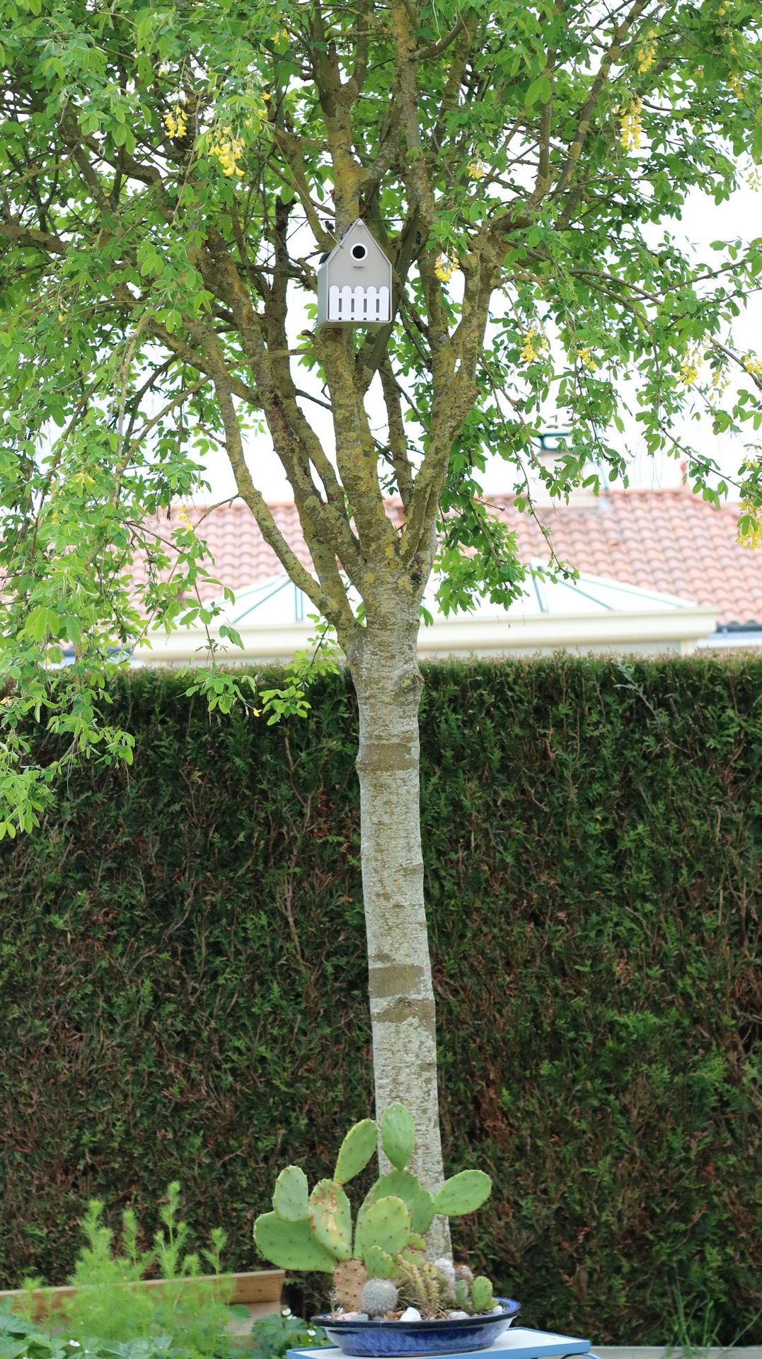 _copie-0_IMG_0501.jpg