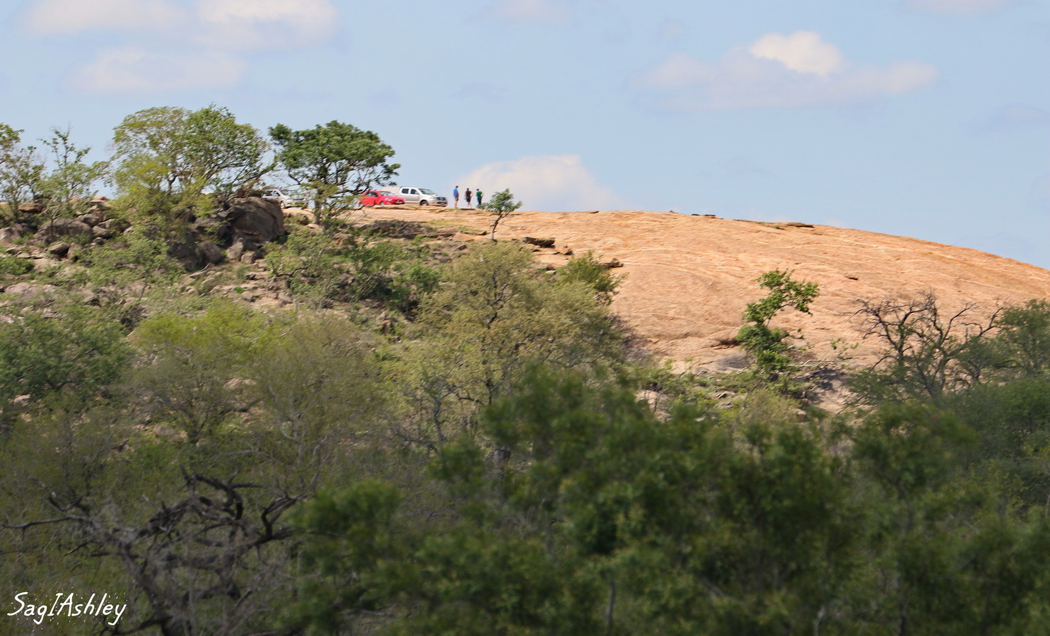 EO9A1696_GF dune.jpg