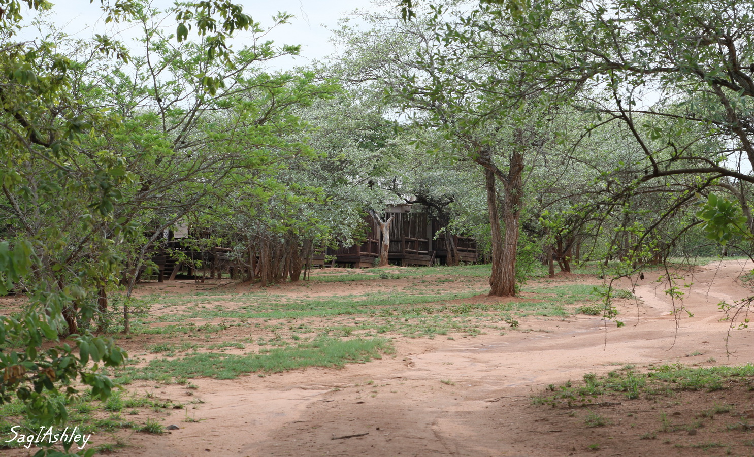 EO9A1809_GF lodges.jpg