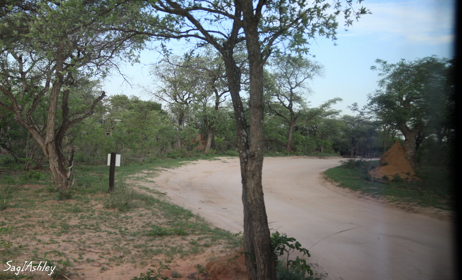 IMG_1348_GF une entrée kruger.jpg