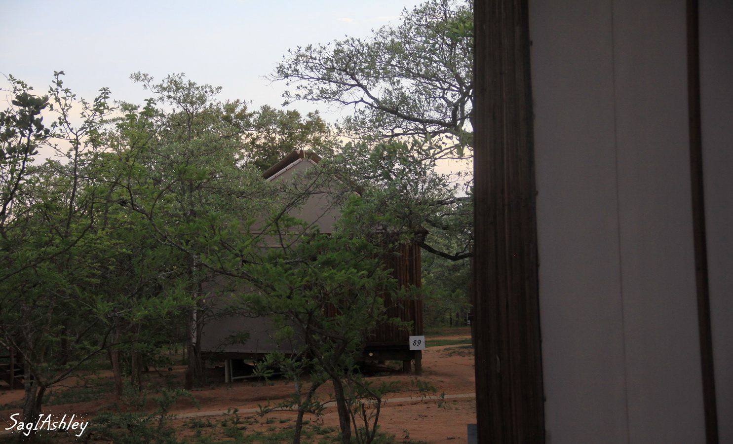 IMG_1357_GF LoDGe.jpg
