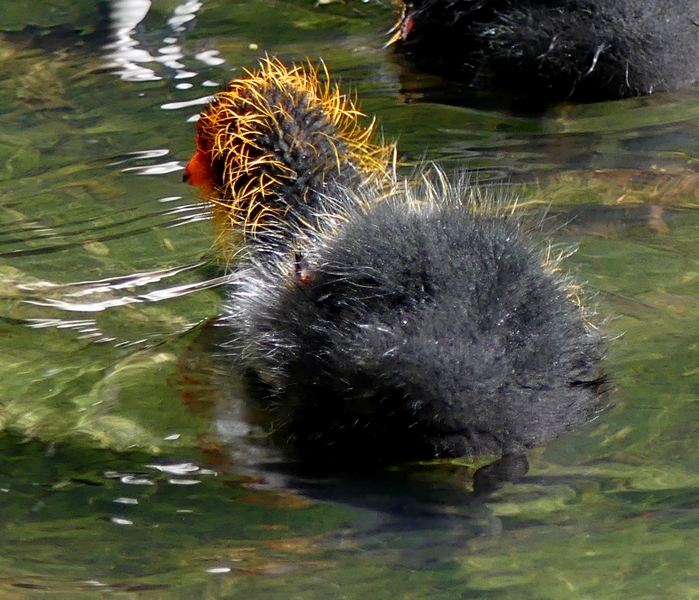 05.05.2019lumix.jpg_23.jpg